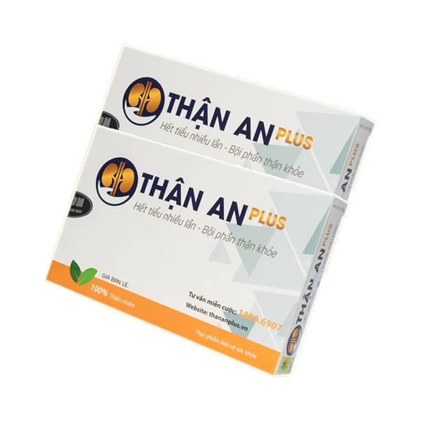 than-an-plus-20-vien