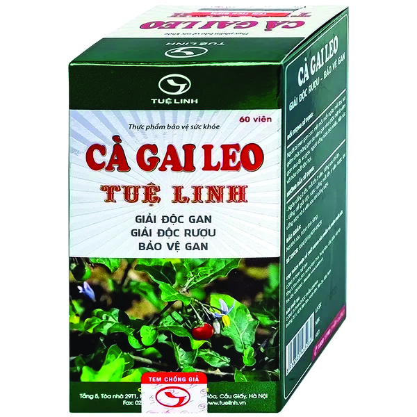 Cà Gai Leo Tuệ Linh