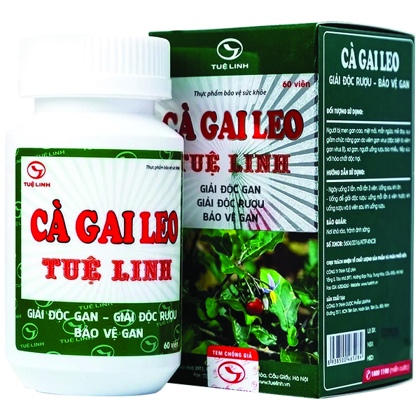 Cà Gai Leo Tuệ Linh