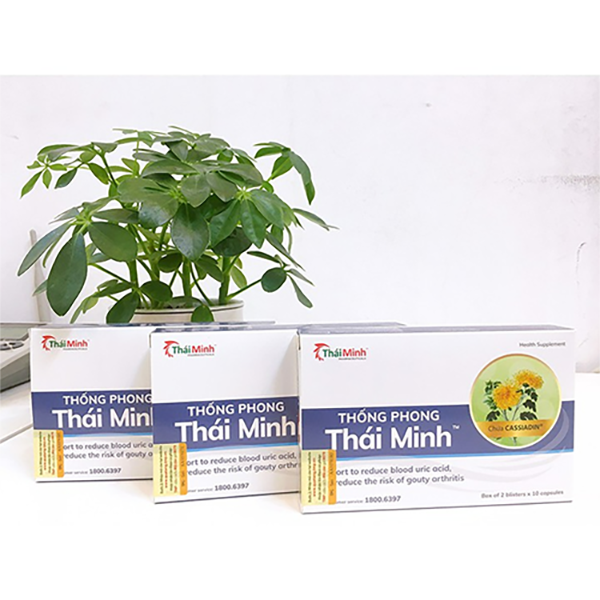 Thống Phong Thái Minh