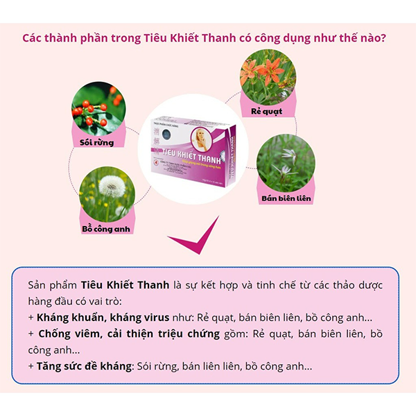 Tiêu Khiết Thanh 180v