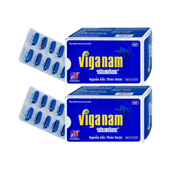 viganam-tam-binh