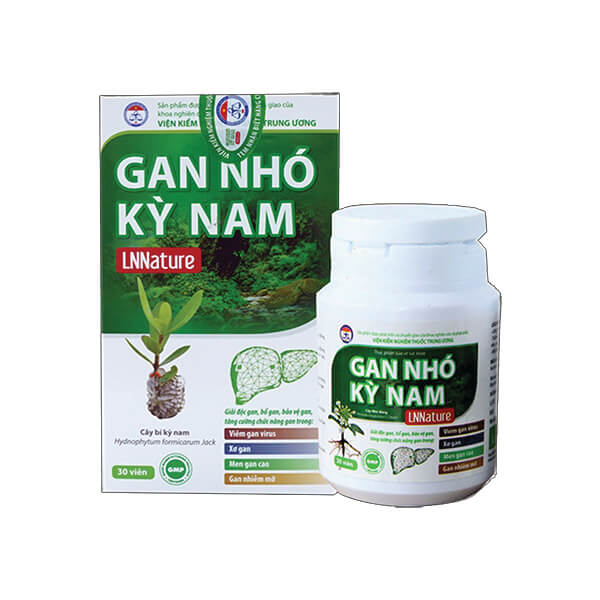 Gan Nhó Kỳ Nam