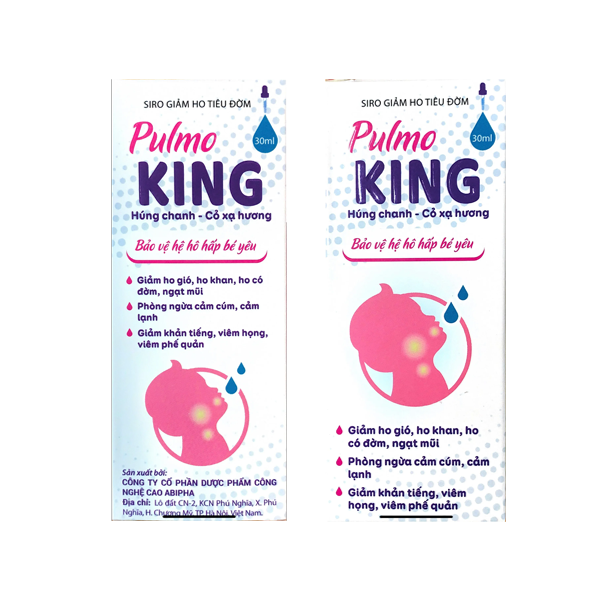 Pulmo-King-siro-giam-ho-tieu-dom