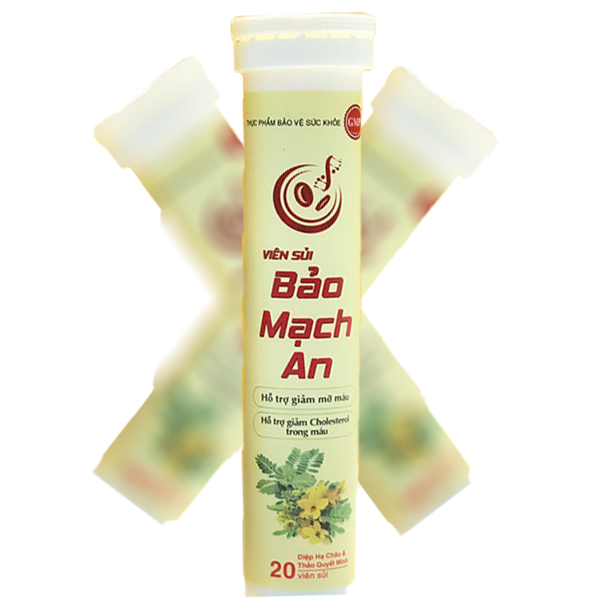 vien-sui-bao-mach-an