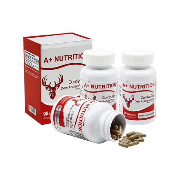 A+ NUTRITION Cordyceps