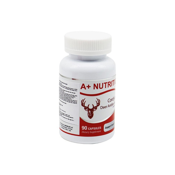 A+ NUTRITION Cordyceps