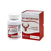 A+ NUTRITION Cordyceps
