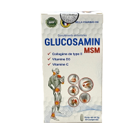 glucosamin-msm