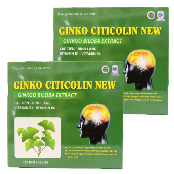 ginko-citicolin-new